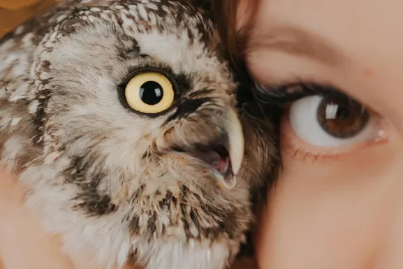 PlayHub Kaszinó Támogatás